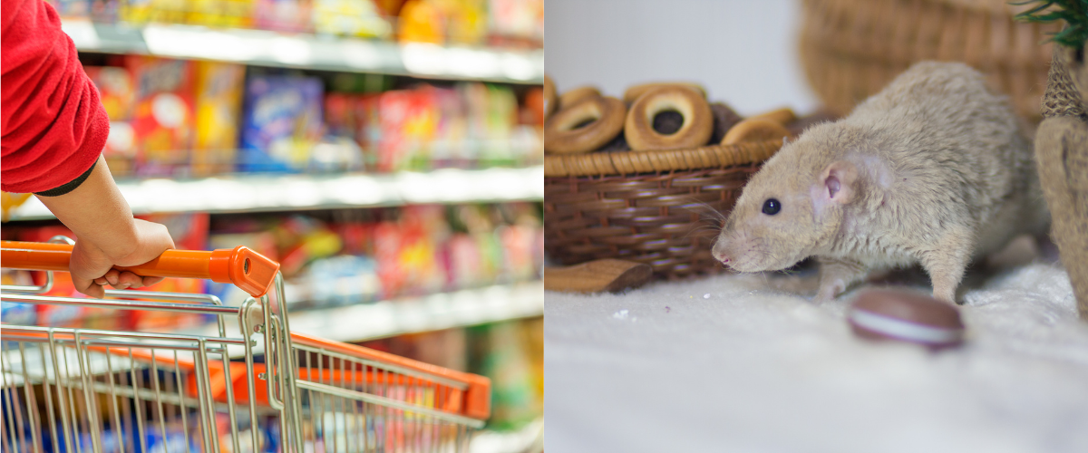 contrat de satiation